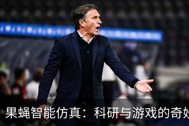 果蝇智能仿真：科研与游戏的奇妙结合